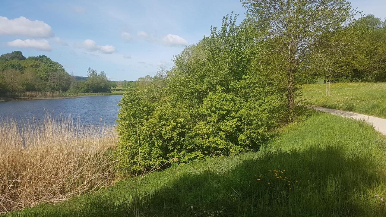 Idyllisches Muehlengebaeude Appartement Hillesheim Buitenkant foto